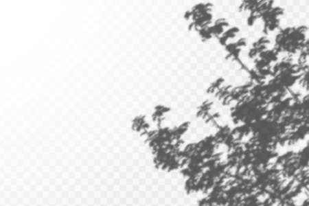 The effect of overlaying shadows. Natural light layout.Realistic shadow of tropical leaves or branches on transparent checkered background.の写真素材