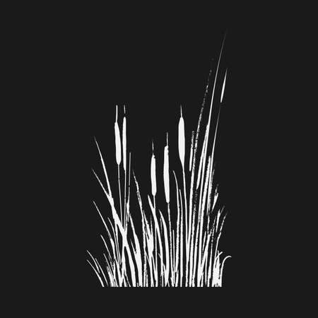 Set of a monochrome reed or bulrush on a white background.Isolated vector drawing.のイラスト素材