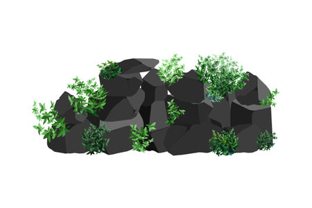 Collection of pieces of coal, graphite, basalt and anthracite. A set of black charcoal of various shapes and plants. The concept of mining and ore in a mine. Rock fragments, boulders.のイラスト素材