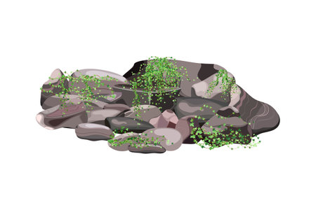 Coastal pebbles,cobblestones,gravel,minerals and geological formations.Rock fragments,boulders.Collection of stones of various shapes and plants, for computer games isolated on white background.のイラスト素材