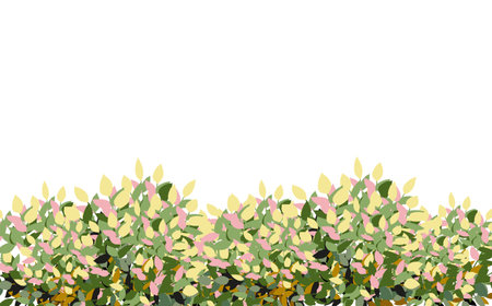 Realistic garden shrub, seasonal bush, boxwood, tree crown bush foliage. Ornamental green plant in the form of a hedge. For decorate of a park, a garden or a green fence.のイラスト素材