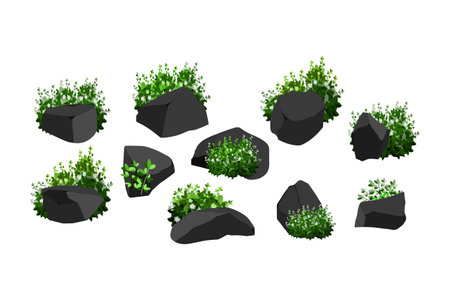 Set of stones, bushes, grass and flowers. Vector illustration.のイラスト素材