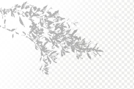 The effect of overlaying shadows. Realistic shadow tropical leaves and branches on transparent checkered background. Natural light layout.のイラスト素材