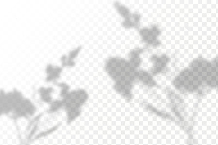 Shadow overlay effect for photos and mockups. Natural light casts shadows from tree branches on transparent background.のイラスト素材
