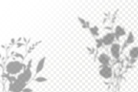 Shadow overlay effect for photos and mockups. Realistic shadow of leaves on transparent background.のイラスト素材