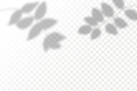 The effect of overlaying shadows. Natural light layout.Realistic shadow tropical leaves and branches on transparent checkered background.のイラスト素材