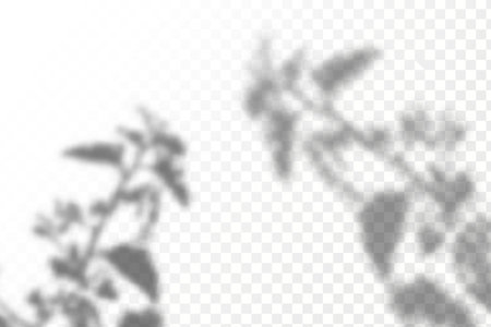 The effect of overlaying shadows. Natural light layout.Realistic shadow tropical leaves and branches on transparent checkered background.のイラスト素材