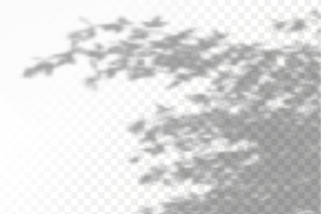 The effect of overlaying shadows. Natural light layout.Realistic shadow tropical leaves and branches on transparent checkered background.のイラスト素材