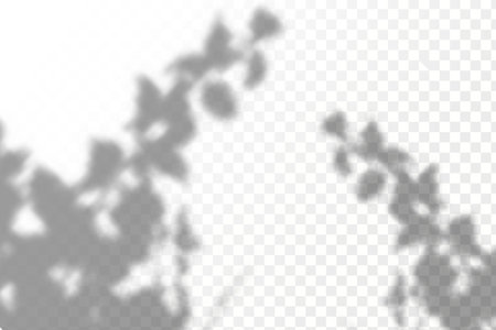 The effect of overlaying shadows. Natural light layout.Realistic shadow tropical leaves and branches...
