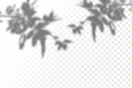 he effect of overlaying shadows. Natural light layout.Realistic shadow tropical leaves and branches on transparent checkered background.のイラスト素材