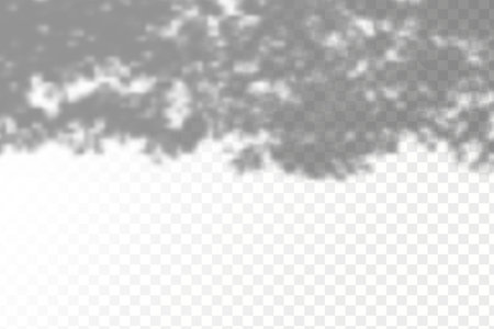 The effect of overlaying shadows. Natural light layout.Realistic shadow tropical leaves and branches on transparent checkered background.のイラスト素材