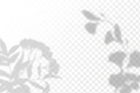 Realistic shadow of leaves on a transparent background. The effect of overlaying shadows.のイラスト素材