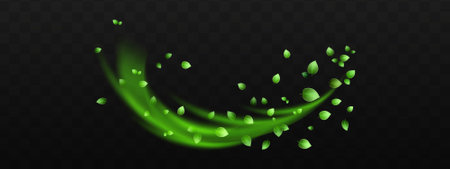 Green flying petals isolated on transparent background. Vector illustration for your designのイラスト素材