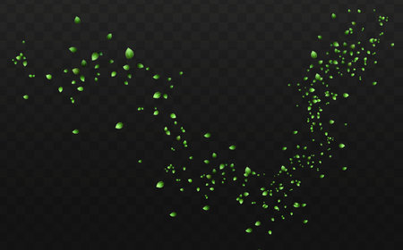 Green leaves flying in the air. Transparent background. Vector illustration.のイラスト素材