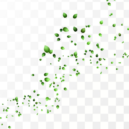 Falling green leaves. Fresh green foliage flying on transparent background. Spring foliage dancing on transparent background. Awesome vector illustration.のイラスト素材