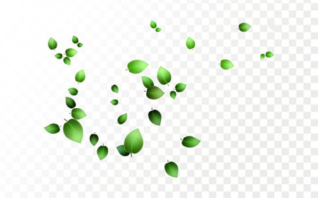 Falling green leaves. Fresh green leaves flying. Spring foliage dancing on transparent background. Authentic spring overlay template. Awesome vector illustration.のイラスト素材