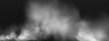 Fog or smoke isolated transparent special effect. White vector cloudiness, mist or smog background. vector illustrationのイラスト素材