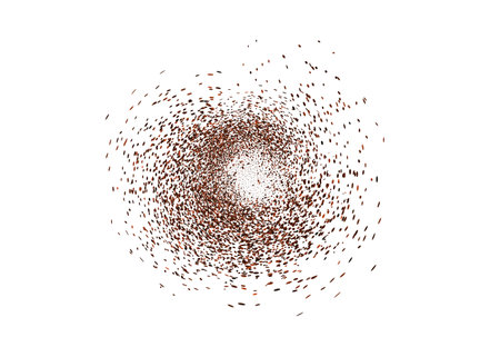 Chocolate and coffee powder, scattered cocoa on a light background. Particles of earth and dust. Brown sand texture.Top view of the cake.のイラスト素材