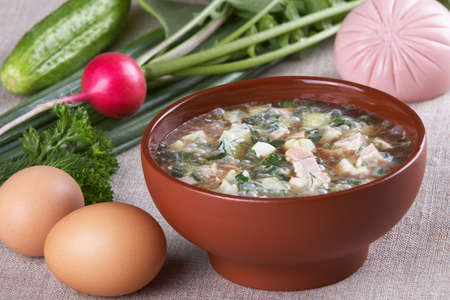 Cold vegetable soup with kvas and mayonnaise and ingredients for itの写真素材