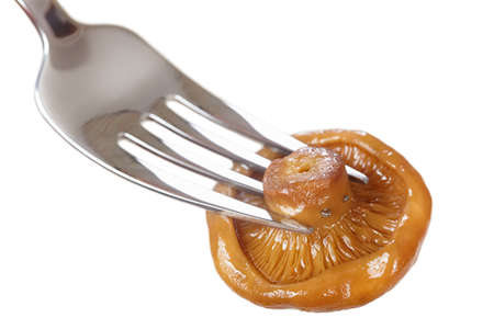 Salty orange mushroom on a fork closeupの写真素材