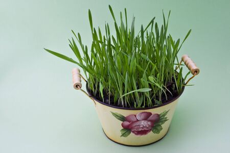 Easter  decorationの写真素材