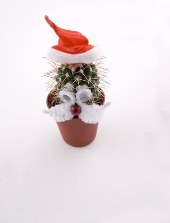 Cactus plant as a Santa Claus, funny figureの写真素材