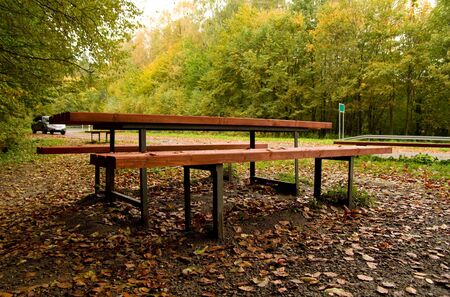 parking place in the middle of forest