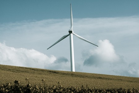 Windmill over rapeweed field in bloomの写真素材