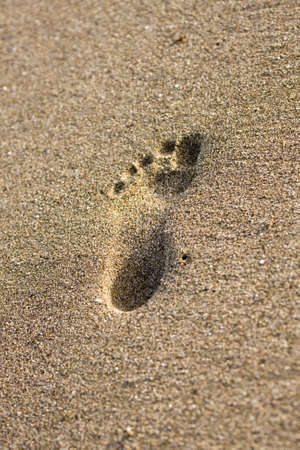 Footprints in wet sand of beachの写真素材