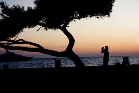 Croatian sunset with tree shape and yacht in the backgroundの写真素材