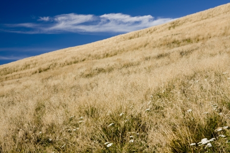 Polonina Wetlinska, part of Bieszczady mountains in east-south Polandの写真素材