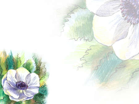 anemone colors with a color design on the background, with copy spaceの写真素材