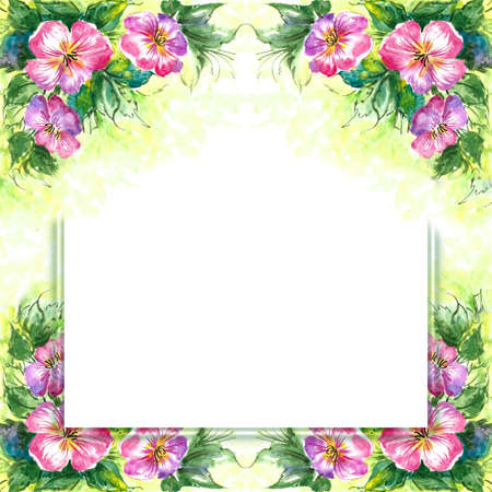 Illustration of summer flowers against the background of sunlight and a place for a photo or copy spaceの写真素材