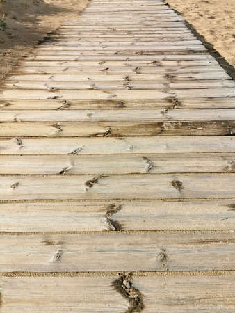 wooden planks for the road on the beachの写真素材