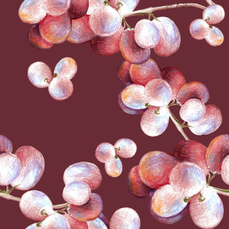 Seamless pattern with hand drawn illustration of grapes on the dark backgroundの写真素材