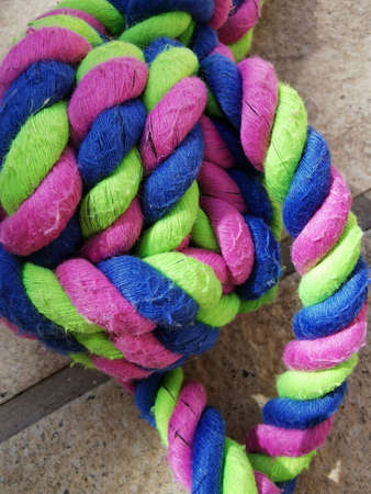 colorful cotton dog toy on a floor background