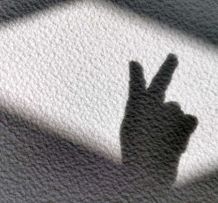 victory shadow sign, bunny shadow on a light wallの写真素材