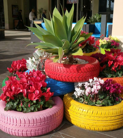 unconventional use of tires, decor and landscape design, creative pots for flowersの写真素材