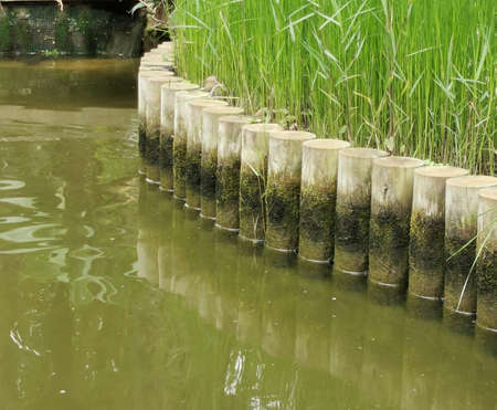 Pond in the Park, Water Landscape Designの写真素材