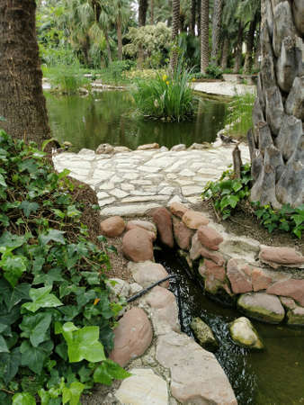 Pond in the Park, Water Landscape Designの写真素材