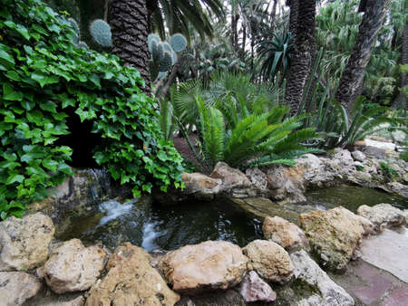 Tropical garden in Elche, Spain. Huerta del cura landscape design of parks, squares, tropical...