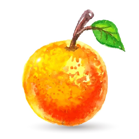 Handmade watercolor grunge orange for retro design. 
Vector illustration.のイラスト素材