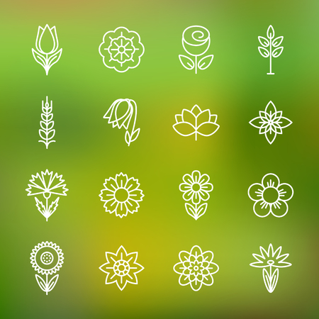 Flower icons set. Modern Thin Contour Line.
Template for Business card, Banner and Brochure. 
of Identity Style for Beauty Salon and Nail salon. 
Flat design.のイラスト素材