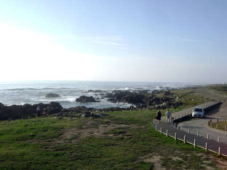 Walkingの写真素材