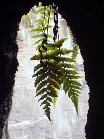  Cave   の写真素材