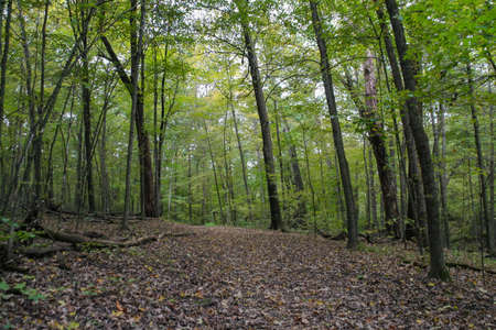 Picture of the trail i was hiking at Governor Dodge State Park in Wisconsin.の写真素材