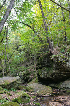 Beautiful picture a stream I came across while hiking at Governor Dodge State Park in Wisconsin.の写真素材