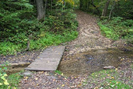 Picture I took of a bridge crossing a stream. Taken while hiking at Governor Dodge State Park in Wisconsin.の写真素材