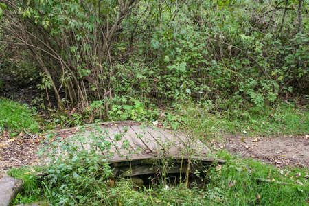 Picture I took of a bridge crossing a stream. Taken while hiking at Governor Dodge State Park in Wisconsin.の写真素材