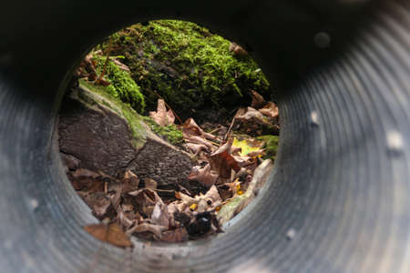 Photo I shot through a drainage pipe while hiking in southern Wisconsin.の写真素材